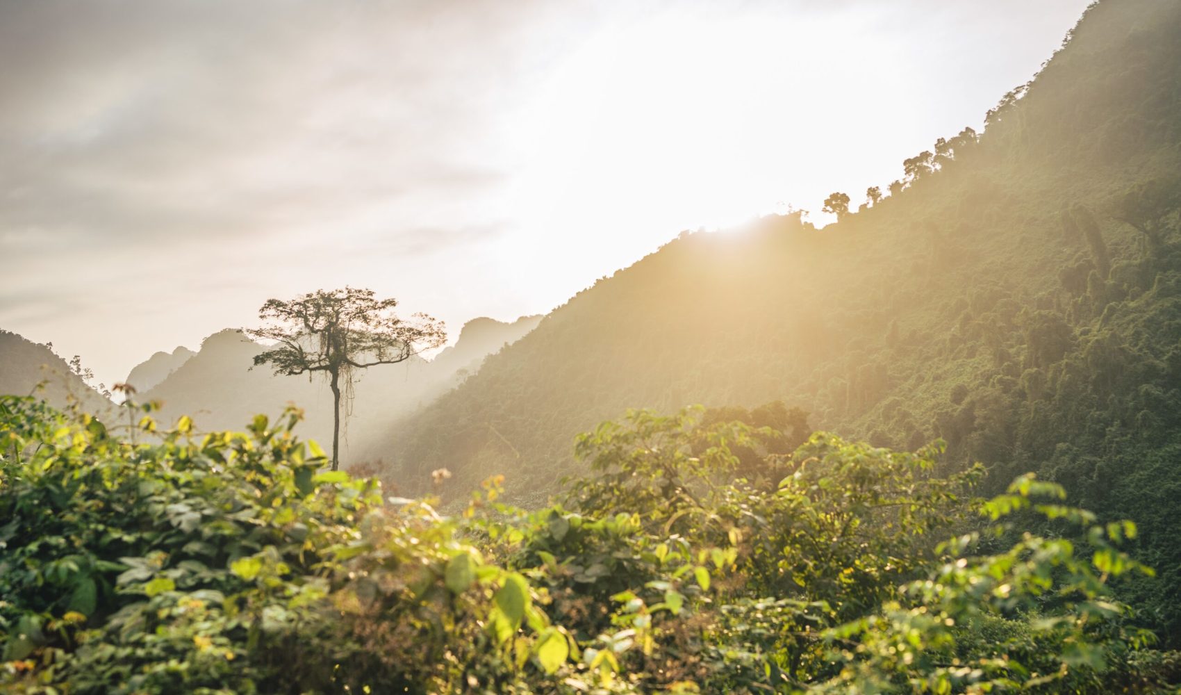 A beautiful setting sun over a forest mountain landscape